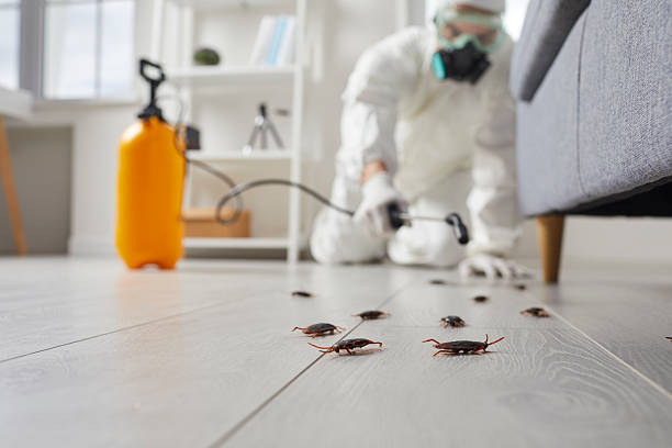 Commercial Kitchen Cockroach Control in Port Hueneme